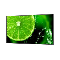 NEC Display MultiSync E658, 165,1 cm (65"), IPS,...