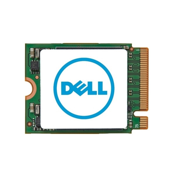 Dell AD061580, 1 TB, M.2