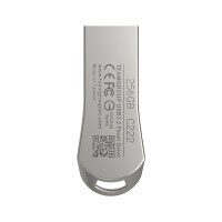 Team Group C222, 32 GB, USB Typ-A, 3.2 Gen 1 (3.1 Gen 1), 100 MB/s, Ohne Deckel, Silber