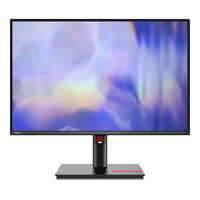 Lenovo ThinkVision T24 61 cm/24" 61 cm/24" Flachbildschirm (TFT/LCD) - 1.920x1.200 IPS