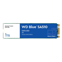 WD Blue Sa510 WDS100T3B0B-00AXS0 - SSD - - intern - M.2 2280 - SATA