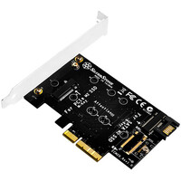 SilverStone ECM20 - M.2 - PCIe - SATA - Schwarz