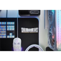 Kingston FURY 32GB 8000MT/s DDR5 CL38 DIMM (2er-Kit) Renegade White XMP - 32 GB - 2 x 16 GB - DDR5 - 288-pin DIMM