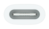 Apple USB Adapter USB-C Buchse> - Touchpen - USB Typ C