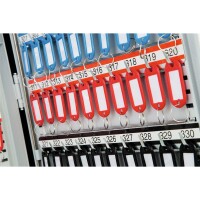 Phoenix Safe Co. KC0605E, Grau, 300 Haken, Elektronisch, 380 x 205 x 550 mm