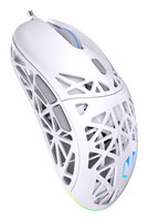 ENDORFY LIV Onyx White - Beidhändig - Optisch - Bluetooth - Maus - 12.000 dpi