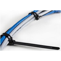StarTech.com Kabelbinder - 203x4 mm - wiederverwendbar - lösbare Nylonbinder - 22 kg Zugfestigkeit - Innen- und Außenbereich - 94V-2/UL - schwarz - 100 Stück - Lösbarer Kabelbinder - Nylon - Kunststoff - Schwarz - 5 cm - V2 - -40 - 85 °C