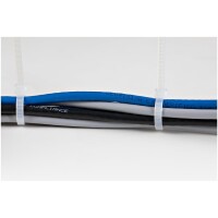 StarTech.com 25 cm Kabelbinder - 4 mm breit, 68 mm Bündeldurchmesser, 22 kg Zugfestigkeit, selbstsichernde Nylon-Kabelbinder mit gebogener Spitze, 94V-2/UL geprüft, weiß, 1000 Stück, Lösbarer Kabelbinder, Nylon, Kunststoff, Weiß, 6,8 cm, V2, -40 - 85 °C