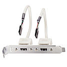 Lindy USB-Slotblechadapter 2 x 5 IDC-Kupplung ca. - Kabel