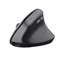 Trust TM-270 ERGONOMIC Wireless Mouse - Maus - 2.400 dpi