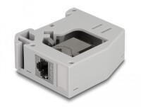 Delock Hutschienenadapter mit Keystone Modul RJ45 Buchse zu RJ45 Buchse Cat.6A - Flach - Grau - RJ-45 - RJ-45 - Weiblich - Weiblich