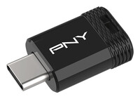 PNY Elite-X Fit USB 3.2 - 256 GB