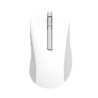 ASUS Md102 Maus weiss Silent - Maus - 600 dpi