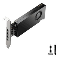 PNY Nvidia RTX 2000E Ada Generation - n - 2000 - Grafikkarte - PCI-Express